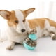 thumbnail image 1 of Comedero interactivo para mascotas Calipso, 1 of 1