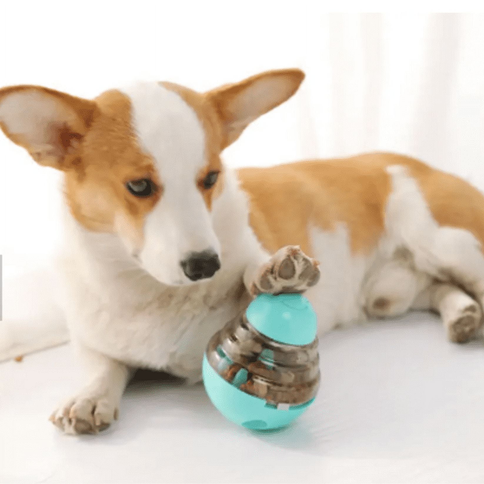 Akirapet - Comedero Interactivo Para Mascotas Calipso