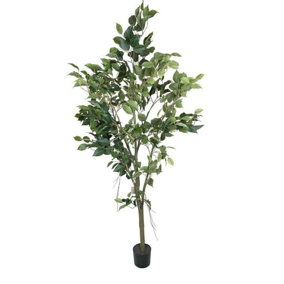 Planta Decorativa Árbol De Ficus 210Cm