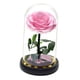 thumbnail image 4 of Ilumine Una Rosa En Una Cúpula De Cristal Regalos Del Día De San Valentín Para Su Flor Rosa, 4 of 5