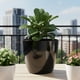 thumbnail image 2 of Macetero Umbra 27 Negro Set x3 Unidades – Bosco, 2 of 6