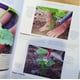 thumbnail image 3 of Curso Básico De... - Cultivo De Fruta Y Hortalizas, 3 of 7