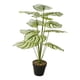 thumbnail image 1 of Plantas Artificiales Verdes Bonsai Planta En Maceta Para Estante Sala De Estar Dormitorio Estilo B, 1 of 5
