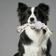 thumbnail image 2 of Set 3 Juguetes Para Mascota Cuerda Pelota Goma Perros Lau, 2 of 3