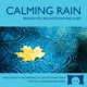 thumbnail image 1 of CD The Rhythm Tree Sonidos Calmantes de Lluvia Natural, 1 of 9