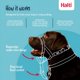 thumbnail image 2 of Collar Halti Headcollar Talla 2 Verde Bosque para Entrenamiento, 2 of 5