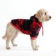 thumbnail image 1 of Sudadera con capucha para perros Spark Paws – Suave como mantequilla, 1 of 7