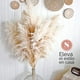 thumbnail image 5 of Ramo 10 Pampas Secas Decorativas, 5 of 8