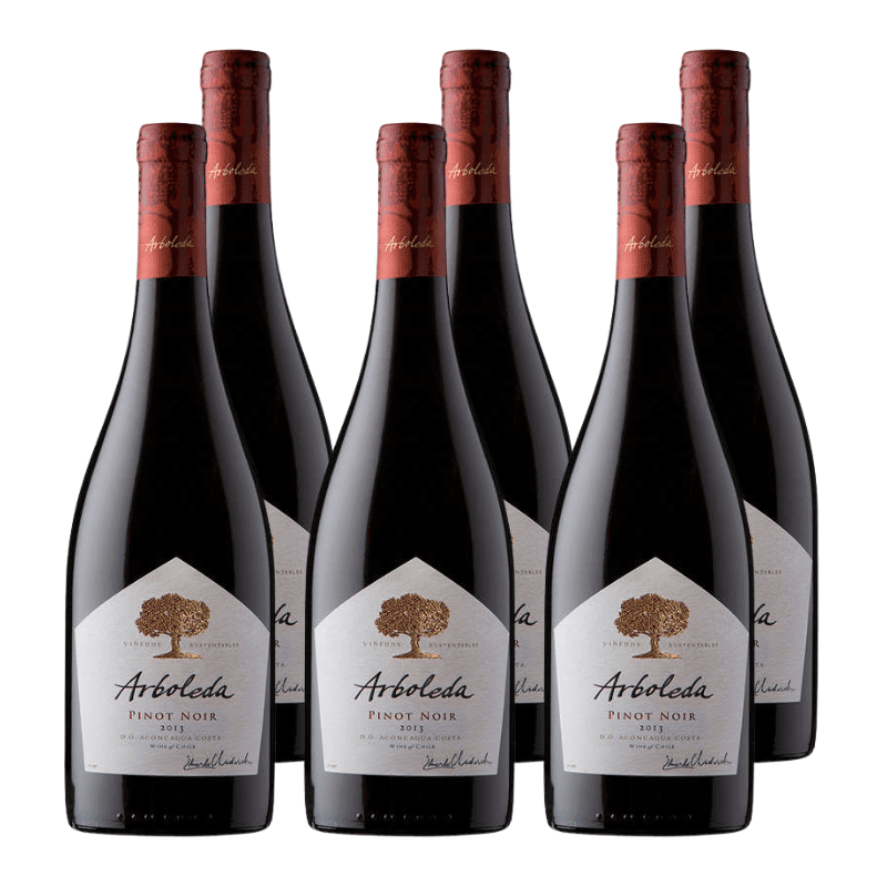 Vino Arboleda Pinot Noir 750cc X6