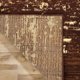 thumbnail image 4 of Alfombra Pasillo Arizona Café 66 x 430 cm, 4 of 6