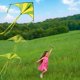 thumbnail image 3 of Kite JOYIN Large Delta verde, azul y multicolor para niños, 3 of 7