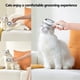 thumbnail image 2 of Gato and Dog Pincel Shedding, Mascota Grooming Self Cleaning Slicker Pincel Gatos Dogs,Comb Grooming Largo Cacampanaoed Shot Cacampanaoed Dogs, Gatos, Rabbits Moe,con Unique Water Tank Design (azul), 2 of 6