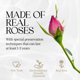 thumbnail image 4 of Bouquet de rosas preservadas | GLAMOUR BOUTIQUE Flowers, 4 of 9