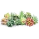 thumbnail image 1 of Miniplantas artificiales HappyHapi para suculentas artificiales, 12 unidades, 1 of 7
