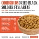 thumbnail image 2 of Larvas secas de mosca soldado negra, COOHGRUBS, para aves de corral, 0,9 kg, 2 of 6
