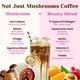 thumbnail image 2 of Suplemento Venture Pal Premium con hongos adaptógenos: café, 2 of 8