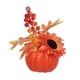 thumbnail image 1 of Adorno De Calabazas Artificiales, Accesorio De Fotografía Para Decoración De Acción De Gracias, Estilo A, 1 of 5