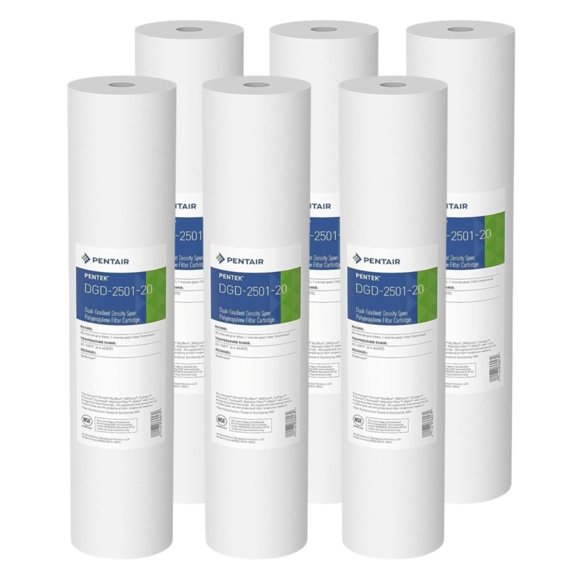 Cartucho de filtro de agua Pentair Pentek DGD-2501-20 1 Micron