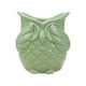 thumbnail image 5 of Maceta Con Forma De Búho, Maceta De Cerámica Para Decoración Del Hogar, Para El Hogar, Patio, Oficina, Sin Aspecto, Verde, 5 of 5