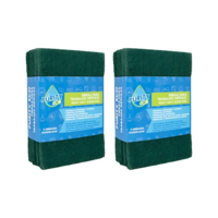 Purity - Pack 10 Fibras Abrasivas Profesionales | Remoción Intensa Y Duradera