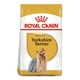 thumbnail image 1 of Alimento Adulto Yorkshire Terrier 7.5 Kg, 1 of 2