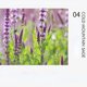 thumbnail image 1 of Solid Balm For Women, Lasting And Refreshing Floral Fruity Notes, Portable Antiperspirant Solid Perfume For Students, 1 of 5