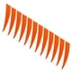 thumbnail image 3 of Plumas para Flechas de Deporte de Tiro 4 pulgadas, 3 of 3