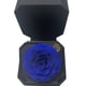 thumbnail image 2 of Gift Box 11 Con Rosa Preservada Natural Azul, 2 of 3