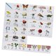 thumbnail image 3 of Tablero De Anuncios Del Alfabeto Aprendizaje Temprano Kinder Preescolar Decoraciones, 3 of 5