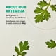 thumbnail image 5 of Tónico Hanyul Artemisia Calmante con CICA 150 mL para Hidratación, 5 of 8