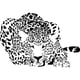 thumbnail image 1 of Decomural Leopard Big Cats WS-15870, 1 of 2