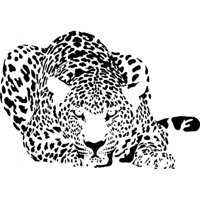 Rienda Libre Graphics - Decomural Leopard Big Cats Ws-15870