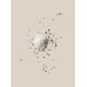 thumbnail image 4 of Sal de baño AHAVA Mineral de sal del Mar Muerto 946 ml para relajación intensa, 4 of 4