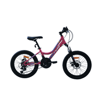 Totem - Bicicleta Mtb Aro 20 Modelo Elise Rosada