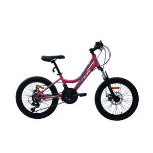 Bicicleta Totem Mtb Aro 20 Modelo Elise Rosada
