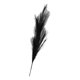 thumbnail image 2 of Flor Artificial De Pampa Artificial Flores Decorativas 90cm Negro, 2 of 2