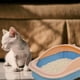 thumbnail image 3 of Arenero Caja Antisalpicaduras Gatos Mascotas Hogar Lau, 3 of 3