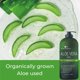 thumbnail image 3 of Gel de aloe vera Being Naturals, 500 ml, 100% orgánico puro con árbol de té, 3 of 8