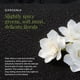 thumbnail image 5 of Bruma corporal y capilar Ua Body Kiele Gardenia 100 ml sin alcohol, 5 of 9