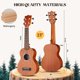 thumbnail image 3 of Ukulele CAHAYA 23" Kit de Concierto de Caoba para Principiantes, 3 of 8