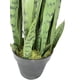 thumbnail image 3 of Sansevieria Verde 69cm Artificial, 3 of 3