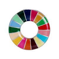 Magideal - Broche De Arcoíris Con Forma De Pin De Solapa, Bonito Pin De Esmalte, Broche Creativo Con Objetivos De Desarrollo Sostenible Para Chaquetas, Bolsos, C