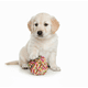 thumbnail image 2 of Juguete Pelota De Cuerda Masticable Duradera Para Perros, 2 of 5