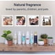 thumbnail image 2 of Ambientador en aerosol Room Fragrance Belfair Oaks Mediterranea, 2 of 7
