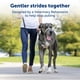 thumbnail image 2 of Collar de cabeza de perro PetSafe Gentle Leader sin tirones para perros grandes, 2 of 6