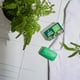 thumbnail image 2 of Desodorante Soap Irish Spring Original, 2 barras, 90 ml, 2 of 3
