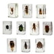 thumbnail image 2 of Set de especímenes de insectos Geoworld con lupa y folleto, 2 of 7