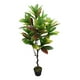 thumbnail image 2 of Planta Artificial Decorativa Exótica Elegante Adorno Jhn, 2 of 3