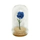 thumbnail image 5 of Casa De Muñecas Flores En Maceta Juego De Imaginación Para 1/6 1/12 Micro Paisaje Casa De Muñecas Azul, 5 of 5