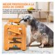 thumbnail image 2 of Comedero Bebedero Elevado Ajustable De Bambu Perros Y Gatos, 2 of 7